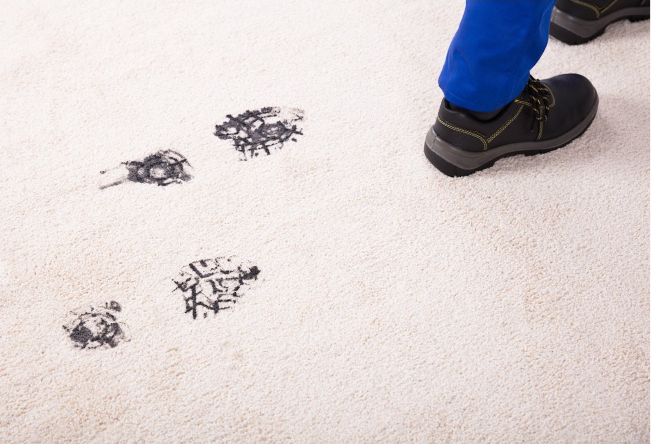 Carpet Cleaning