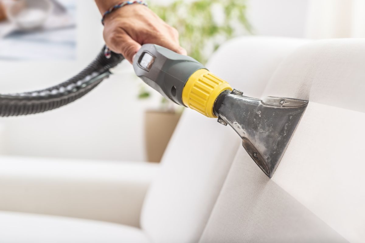 Professional upholstery cleaning for couches and upholstered furniture by Stainoff